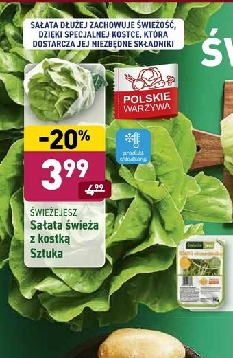 ALDI Sałata świeża z kostką oferta