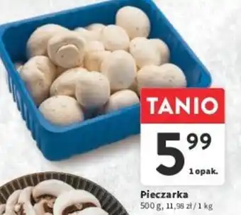 Intermarche Pieczarka 500 g oferta