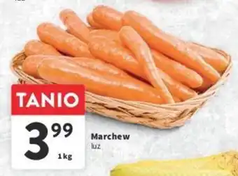 Intermarche Marchew luz 1 kg oferta