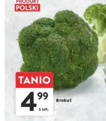 Intermarche Brokuł 1 szt. oferta