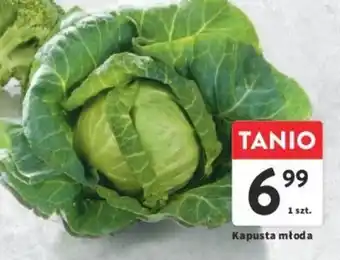 Intermarche Kapusta młoda 1 szt. oferta