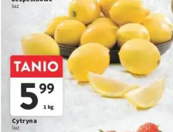 Intermarche Cytryna luz 1 kg oferta