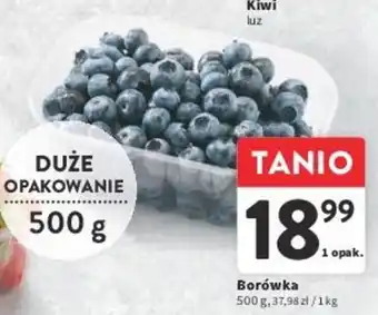 Intermarche Borówka 500 g oferta