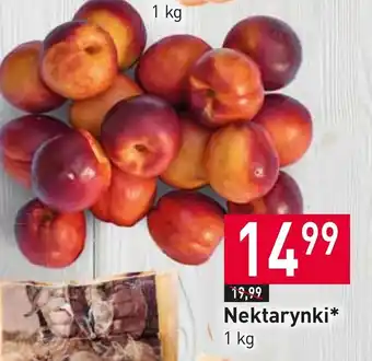 Stokrotka Nektarynki oferta
