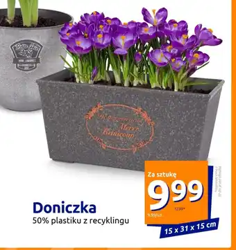 Action Doniczka oferta