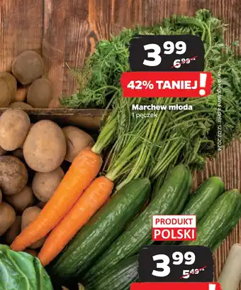 Netto Marchew młoda oferta