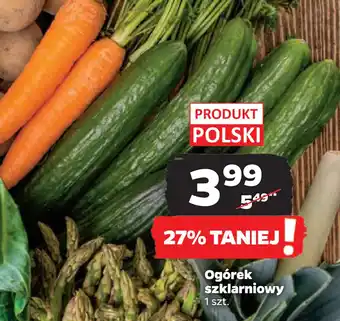Netto Ogórek szklarniowy oferta