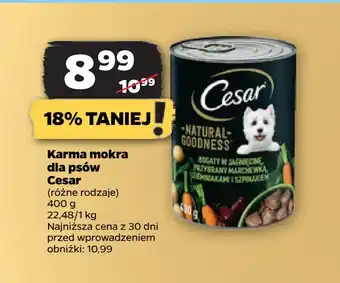 Netto Karma mokra dla psów Cesar oferta