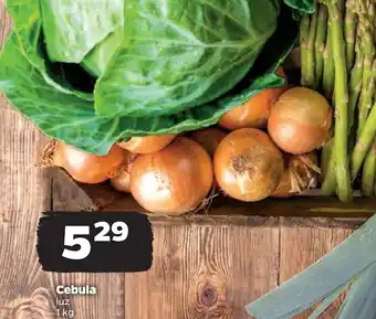 Netto Cebula oferta