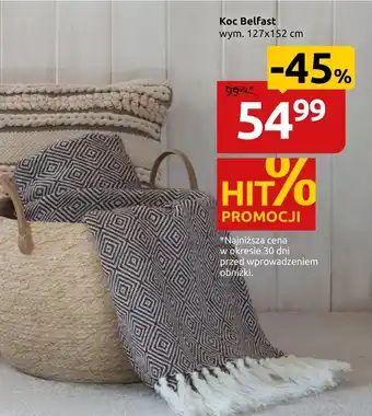 Black Red White Koc oferta