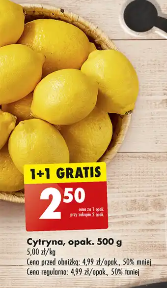 Biedronka Cytryna, opak. 500 g oferta