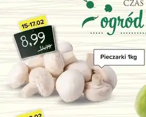 Pieczarki