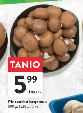 Intermarche Pieczarka brązowa 500 g oferta