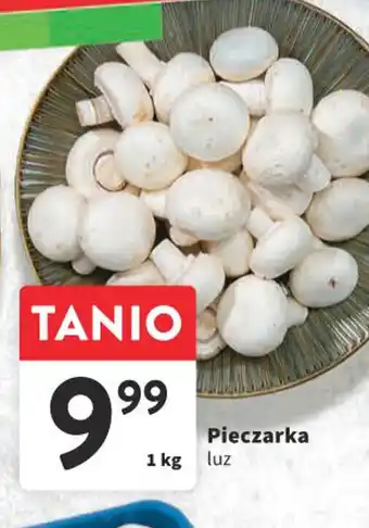 Intermarche Pieczarka 1 kg oferta