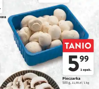 Intermarche Pieczarka 500 g oferta