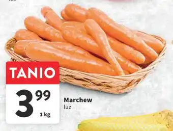 Intermarche Marchew 1kg oferta