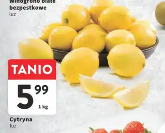 Intermarche Cytryna 1kg oferta