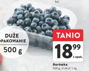 Intermarche Borówka 500g oferta