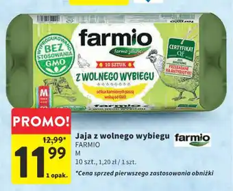 Jaja z wolnego wybiegu FARMIO 10szt.