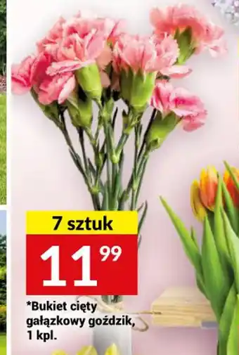 Twój Market Bukiet cięty gałązkowy goździk, 1 kpl. oferta