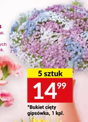 Twój Market Bukiet cięty gipsówka, 1 kpl. oferta