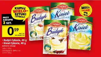 Budyń Cykoria, 40 g