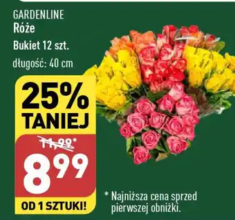 ALDI GARDENLINE Róże 12szt. oferta