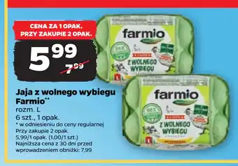 Netto Jaja z wolnego wybiegu Farmio oferta