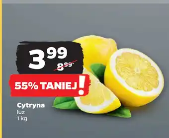 Netto Cytryna oferta