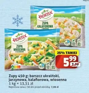 Sedal Hortex Zupa wiosenna 9-składnikowa 450 g oferta