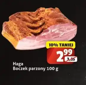 Sedal Boczek Haga oferta