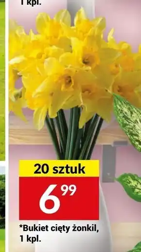 Twój Market Bukiet oferta