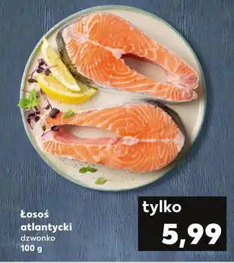 Kaufland Łosoś oferta