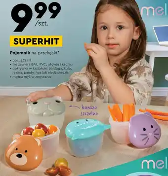 Biedronka Pojemnik oferta