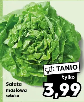 Kaufland Sałata masłowa oferta