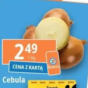E.Leclerc Cebula 1 kg oferta