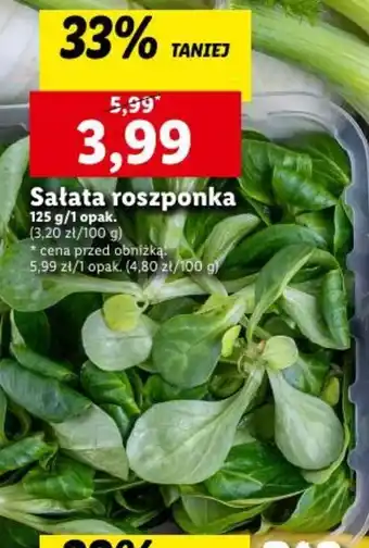 Lidl Sałata roszponka 125g oferta