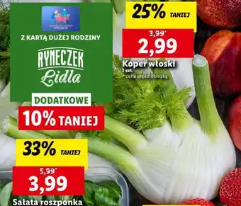 Koper włoski 1szt.
