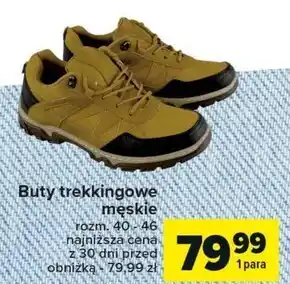 Carrefour Buty trekkingowe męskie oferta