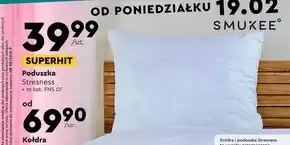 Biedronka Poduszka Smukee oferta