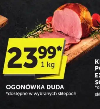 Groszek OGONÓWKA DUDA 1 kg oferta