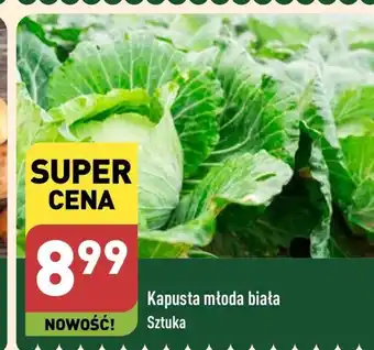 Kapusta młoda