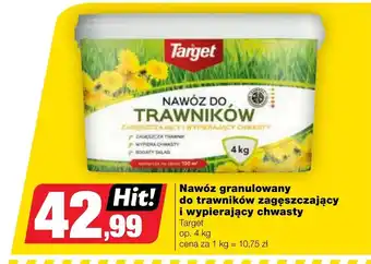 Bricomarche Nawóz Target oferta