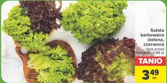 Carrefour Sałata oferta