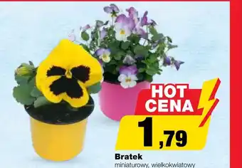 Bratek