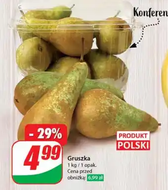 Dino Gruszka oferta