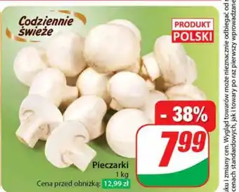 Dino Pieczarki oferta