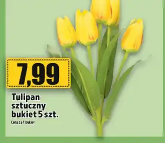 Topaz Tulipan oferta