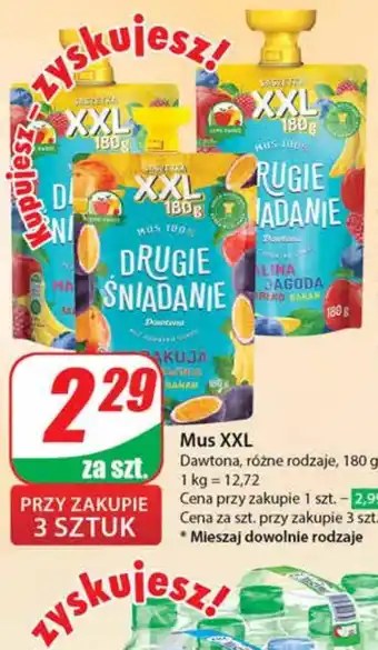 Dino Mus oferta
