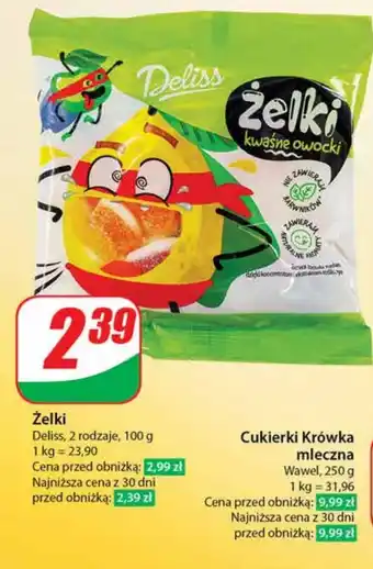 Dino Żelki oferta